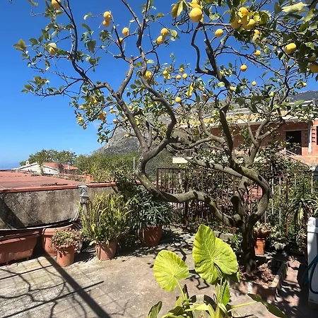 Intera Casa Con Giardino, Vista Mare E Montagna Holiday home *
